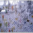 나무 조형물 이미지