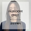 아우룸(Auroom)