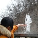 울진백양 이미지