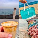 대박갤러리 | 강릉 갤러리밥스 포장 카페 웨이팅 꿀팁 후기 주변 맛집