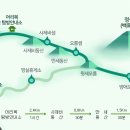 레드페이스제주