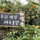 (주)신나는농장