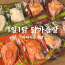 1일 1닭
