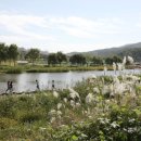 스마트폰 활용에서 사진 작품까지 이미지