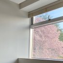 리버스테이춘천 이미지