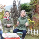 가락가락 이미지