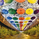 용평사거리 이미지