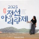 아이와함께하는k-pop댄스교실 | 강원도 정선 가볼만한곳 정선아리랑제 아리랑시장 5일장