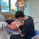 금산동초등학교 충청일보