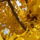 해피타운 이미지