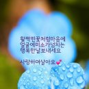 금요일 이미지