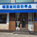 댕댕이를 위한 크리스마스간식 만들기 다이닝코드