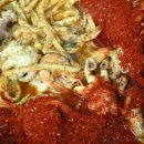 불타는쭈꾸미 이미지