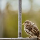 화정환승 공영주차장 이미지