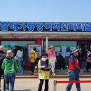 선도수선화 이미지