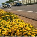 강변북로3 이미지