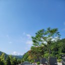 반하면 오토캠핑장 이미지