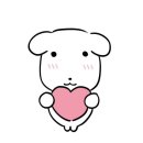 연대 | 동물자유연대 온캣 봉사활동 후기