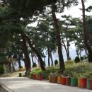 옥정호구절초테마공원 이미지