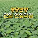 연향농장 이미지