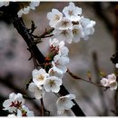 산수마을 이미지