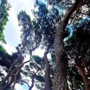 중앙어린이공원 화장실 이미지