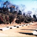 [동영상] 이 땅의 교회--- 한국 천주교회의 역사 이미지