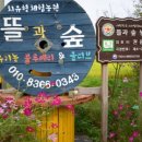 올리브 농장 이미지