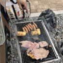 떠우네야채과일 | 씻지말고 담금 스틱 30p 과일세정제 야채세정제, 캠핑장과 사무실에서 직접 써본 후기