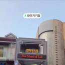 서울Y유도 체육관 | [서울/논현] 와이키키짐, 5세 아이의 신나는 강남유아체육 체험 후기
