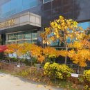 대전테크노요양병원 이미지