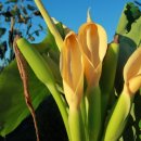 금현농장 이미지