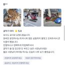 명동2가 2-6 근린생활시설 신축공사 | 파주 운정중앙역 미니포크레인 신축흙 되메우기 작업 지반 정리 현장 후기 017~035 운정동 가좌동 금촌동