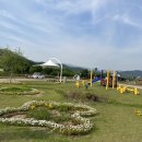 금호강 오토캠핑장 이미지