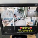태양전화통신공사 네이버블로그