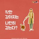 착한강아지 이미지