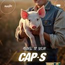 선진솔루션 이미지