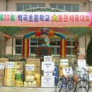 백곡초등학교 이미지