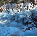 금원산 자연휴양림 이미지