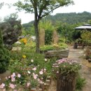 다산농원 이미지