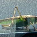 원두정공인중개사사무소 이미지