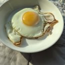 안심농장 | 🥚 닭이 행복해야 식탁이 안심되는 이유, 봄빛농장 계란 후기 🌞