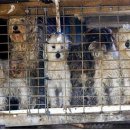 권씨농장 이미지