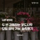 수원 꽃집 추천 꽃희화｜수원 당일 꽃예약 가능한 감성 꽃집 꽃희화 솔직 후기