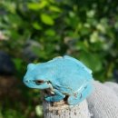 파란농장 이미지