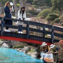 연못으로 이미지