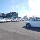 제주도정보사이트 네이버블로그