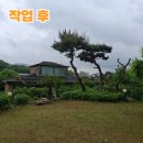 오성벌목