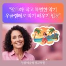 기타교실(입문) | 노원구 중계동 우쿨렐레 교실 특별한 악기를 원하는 시니어를 위한 클래스, 청암예술평생교육원