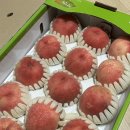장택농장 | [공지] 화순 복숭아 백도복숭아 종류 꿀 떨어지는 후기, 시골소녀
